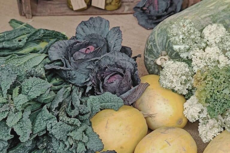 fresh produce at santo spirito farmers market