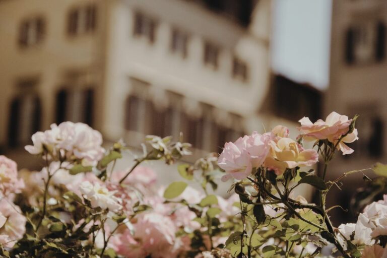 flowers in florence square