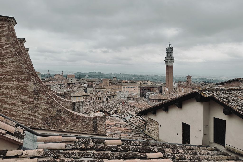 view from the rooftop terraces of the siena cathedral, which can be seen on the gate of heaven tour, one of the best things to do on a florence to siena day trip