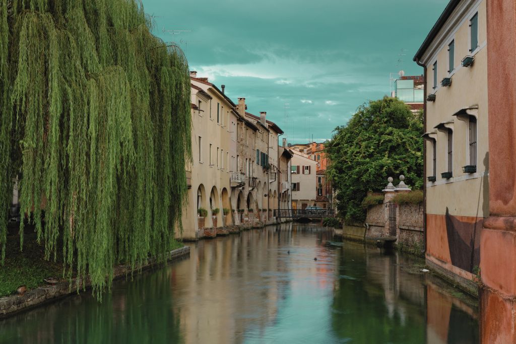 treviso